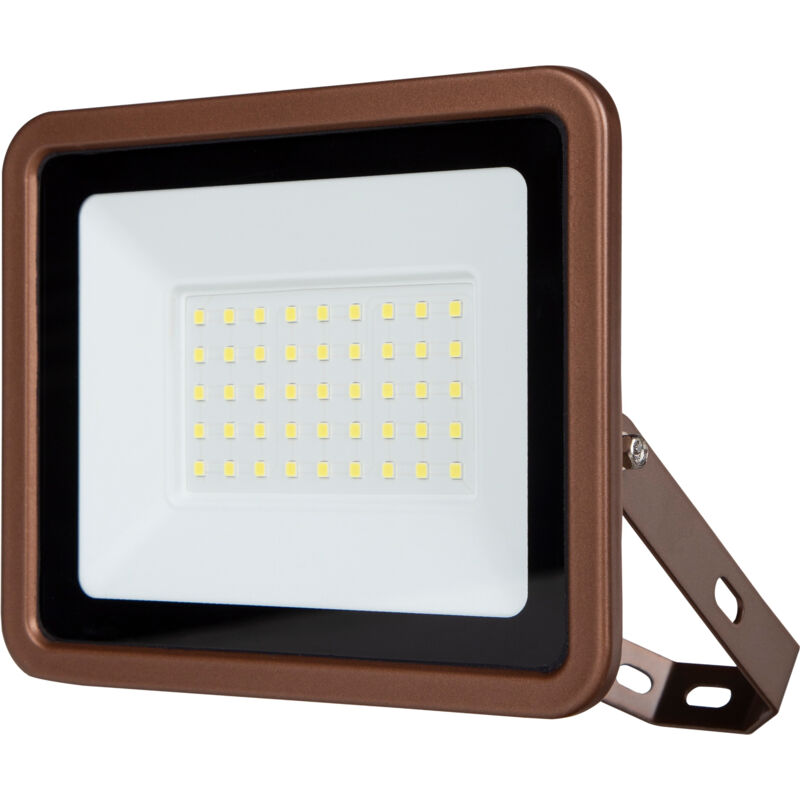 Projecteur LED REV Eco+, 30W, 6500K, 2550lm, blanc froid, IP65, bronze