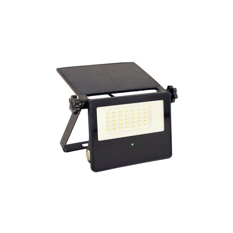 Projecteur Solaire LED 10W avec détecteur de mouvement - Blanc F