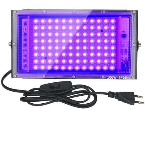 2 Ampoules LED à large pression 85-265v Uv Violet Lumière Noire