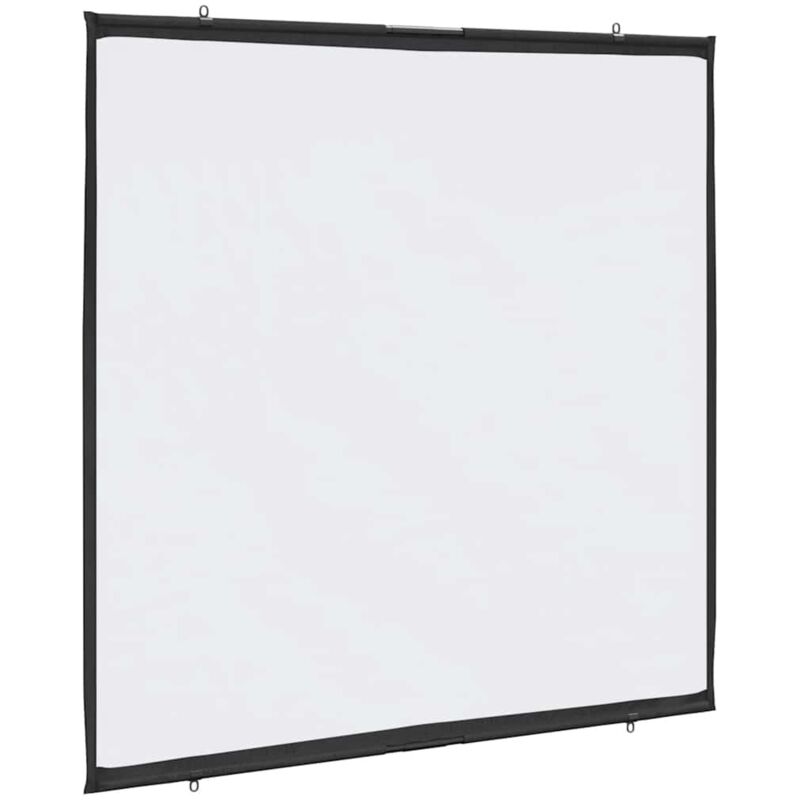 Projection Screen Wall-hanging 67 Inch 1, 1 Vidaxl