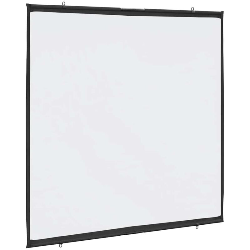 Projection Screen Wall-hanging 72 Inch 1, 1 Vidaxl