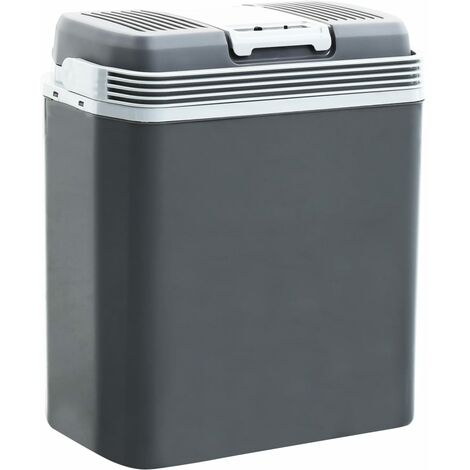NAIZY 30 Liter Kühlbox Auto 12V 230V Kühlschrank Kompressor