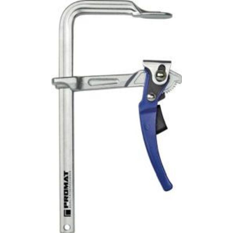 Hebelzwinge Spannweite 200 mm Ausladung 100 mm Spannkraft bis zu 8000 n