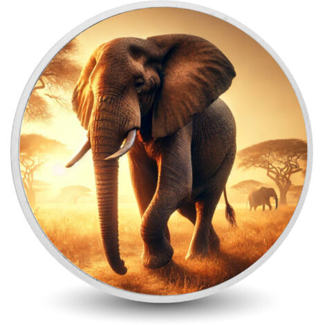 Promenade dorée : pièce colorée Éléphants de la savane
