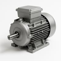 Moteur électrique Monophasé 220V CEMER 1.1kW (1.5CV) - 3000 Tr/min, Montage B3, Avec Double Condensateur - Neuf