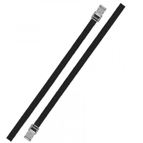 ProPlus Spannriemen mit Metallschnalle 18mm-150cm Set von 2 Stück