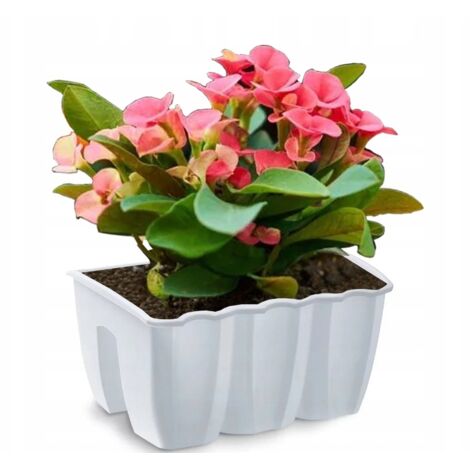 Prosperplast Blumenkasten CROWN Weiß 39,3 cm