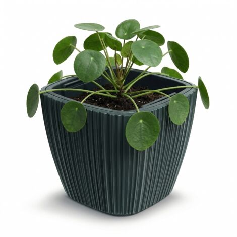 Prosperplast Blumentopf Übertopf Oro herausnehmbar Pflanzeinsatz Pflanzgefäß, Größe: 29,0 cm, Farbe: Dunkelgrau