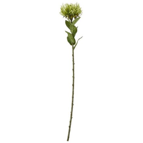 Protea Lorea (Single Stem Flower) - Plastic - Height 73 cm - Green
