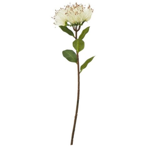 Protea Nitida (Single Stem Flower) - Plastic - Height 45 cm - Cream