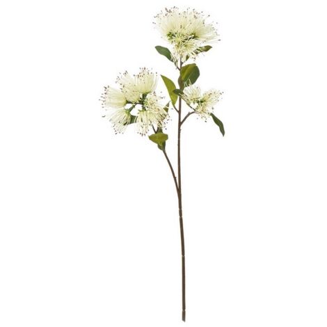 Protea Nitida Spray (Single Stem Flower) - Plastic - Height 65 cm - Cream