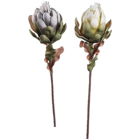 PROTEA PRINCE 75CM IN 2 COLORI