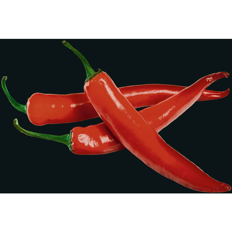

Protección antisalpicaduras Hot Pepper - Wenko