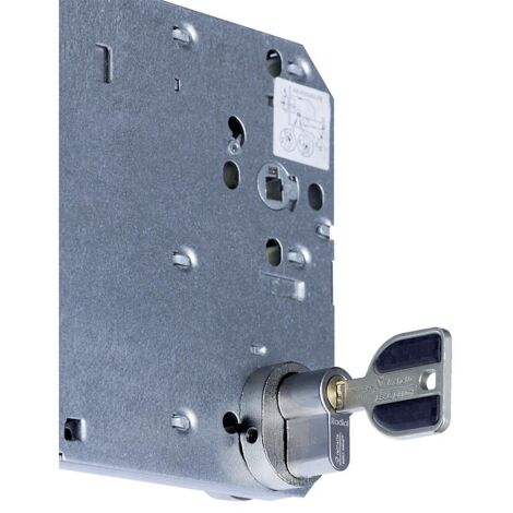 Protecteur de cylindre A2P SGN1 pour serrure 5000/5900 XL épaisseur 38 à 59 mm - VACHETTE