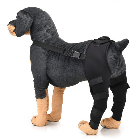 Protecteur de pattes postérieures pour chien de compagnie, genouillère réglable, support de jambe, attelle de jarret de chien(M -Noir)