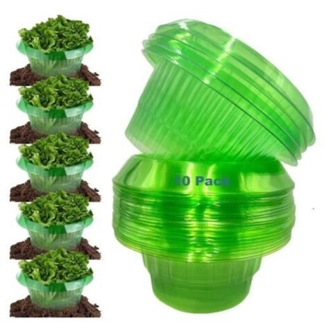 Protection Anti-escargots,10 Pcs Protections Anti-limaces,Anneaux de Protection Anti-escargots, pour Vos Plants Salades et Choux,fy
