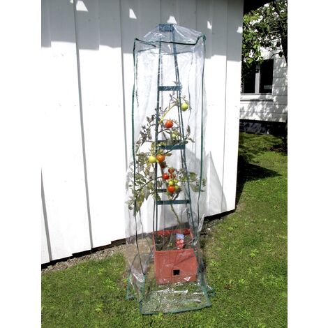 Protection de plantes conconvient pour Maxitom et Maxitom Jumbo Bio Green