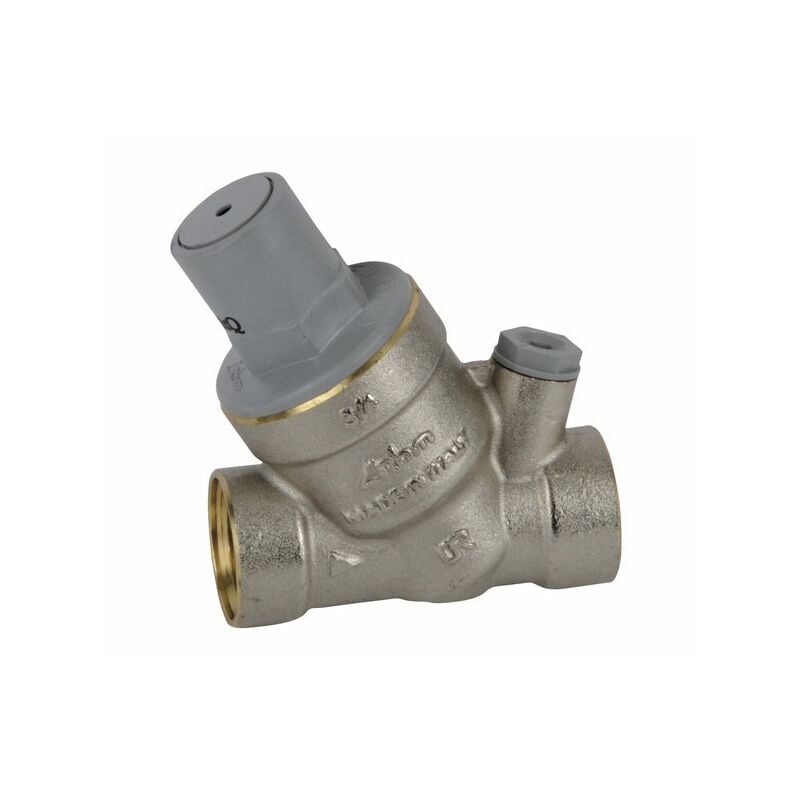 RBM - Réducteur de pression rinox plus et filtre F3/4' : 28480500