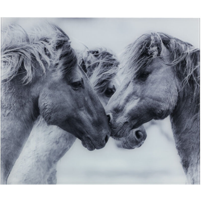 Fond de hotte Chevaux Sauvages, crédence cuisine verre, plaque anti éclaboussures, verre trempé, 60x50 cm, gris - Wenko
