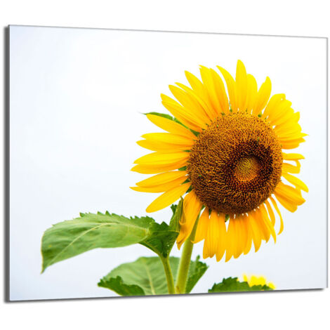 Protector de cristal para encimera 60x52 Flor