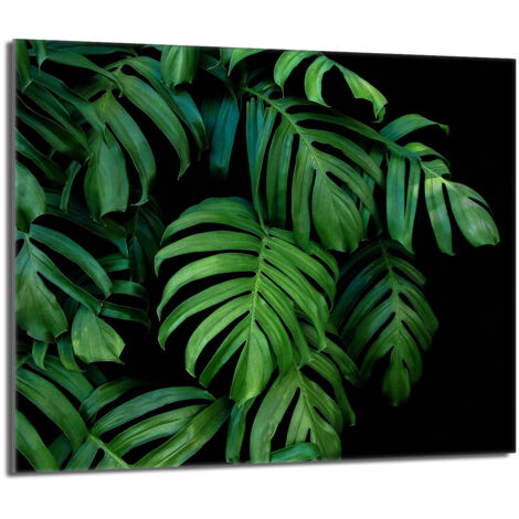 Protector de cristal para encimera 60x52 Monstera