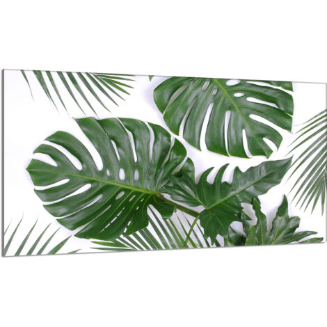 Protector de cristal para encimera 90x52 Monstera