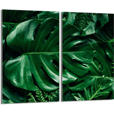 Protector de cristal para estufa 2x30x52 Monstera