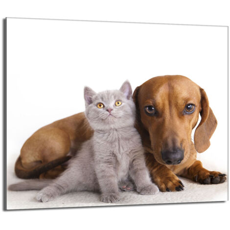 Protector de cristal para estufa 60x52 Animales