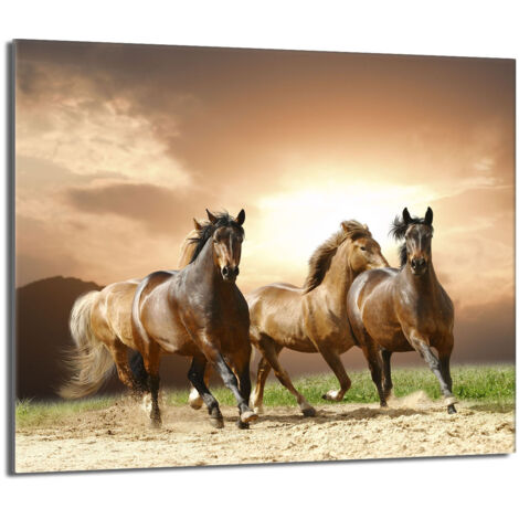 Protector de cristal para estufa 60x52 Caballos