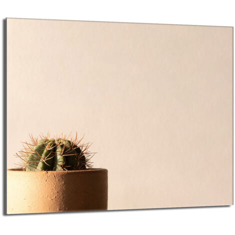Protector de cristal para estufa 60x52 Cactus