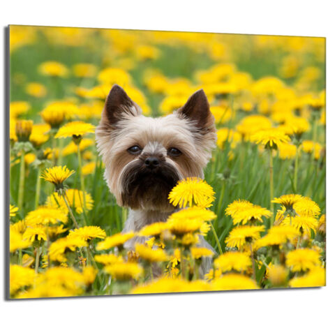 Protector de cristal para estufa 60x52 Perro