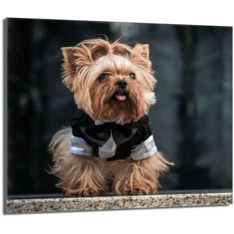 Protector de cristal para estufa 60x52 Perro