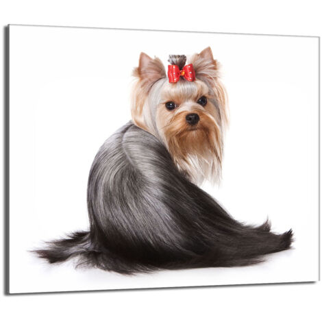 Protector de cristal para estufa 60x52 Perro
