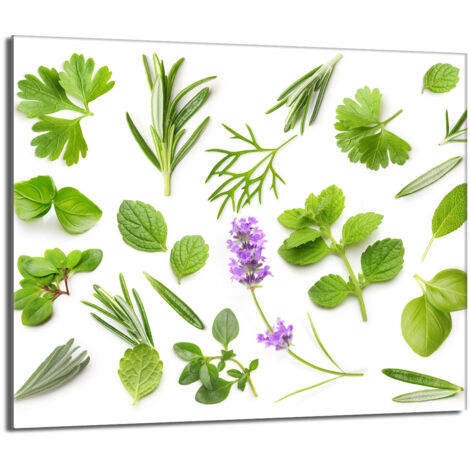 Protector de cristal para estufa 60x52 Plantas