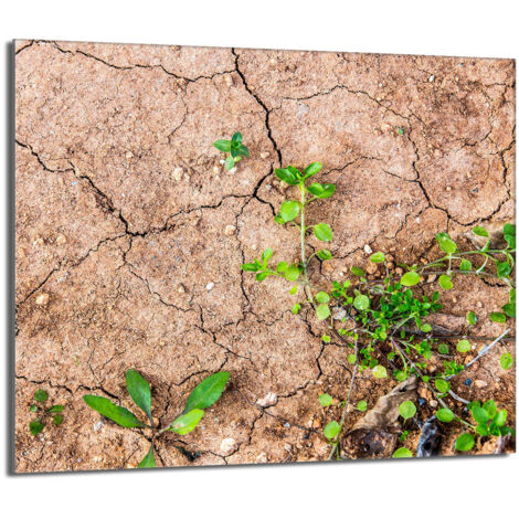 Protector de cristal para estufa 60x52 Plantas