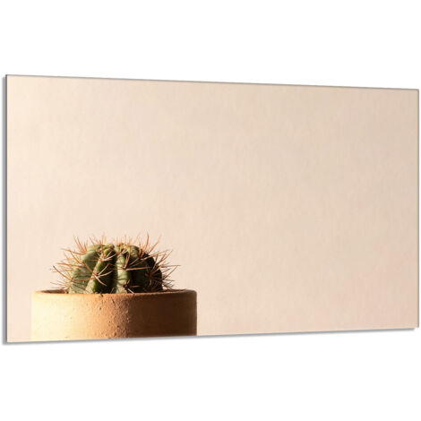 Protector de cristal para estufa 80x52 Cactus