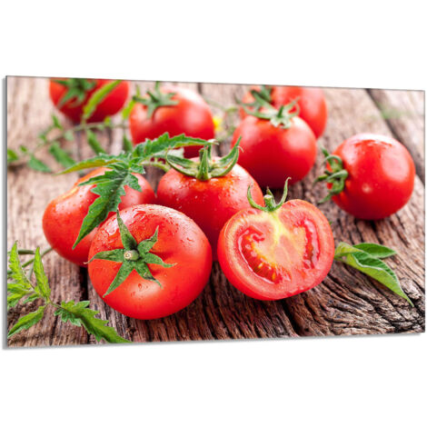 Protector de cristal para estufa 80x52 Tomates