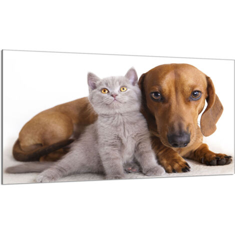 Protector de cristal para estufa 90x52 Animales