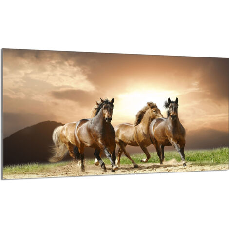 Protector de cristal para estufa 90x52 Caballos