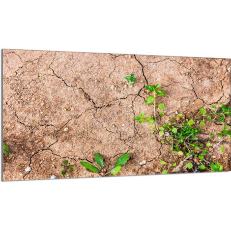 Protector de cristal para estufa 90x52 Plantas