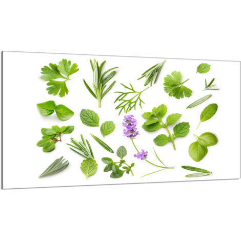 Protector de cristal para estufa 90x52 Plantas