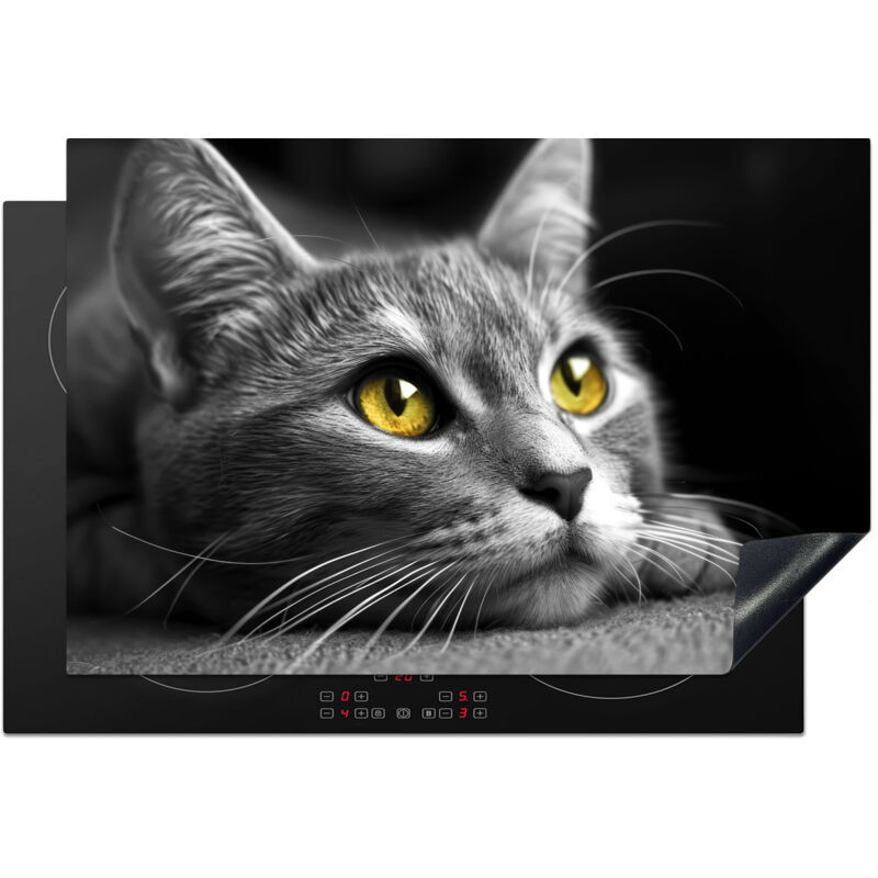 PROTECTOR DE PLACAS DE INDUCCIÓN Gato - Gris - Animales - Gato Cocina 77x51 cm