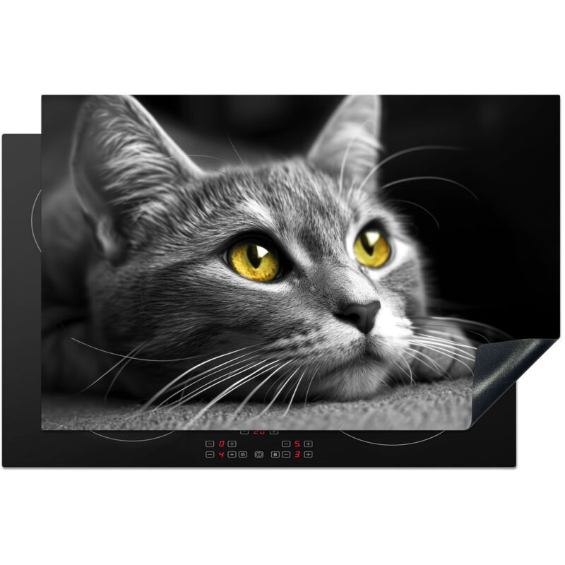 PROTECTOR DE PLACAS DE INDUCCIÓN Gato - Gris - Animales - Gato Cocina 80x52 cm