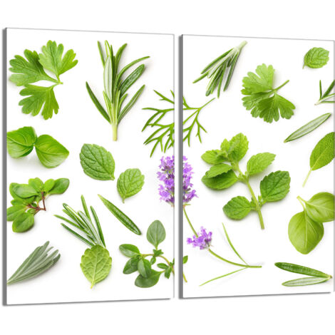 Protector de vidrio para estufa 2x30x52 Plantas