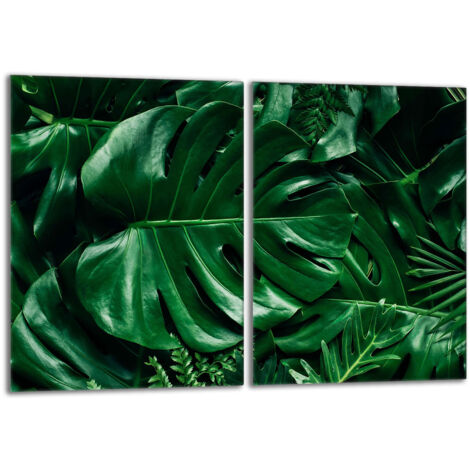 Protector de vidrio para estufa 2x40x52 Monstera