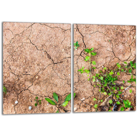 Protector de vidrio para estufa 2x40x52 Plantas