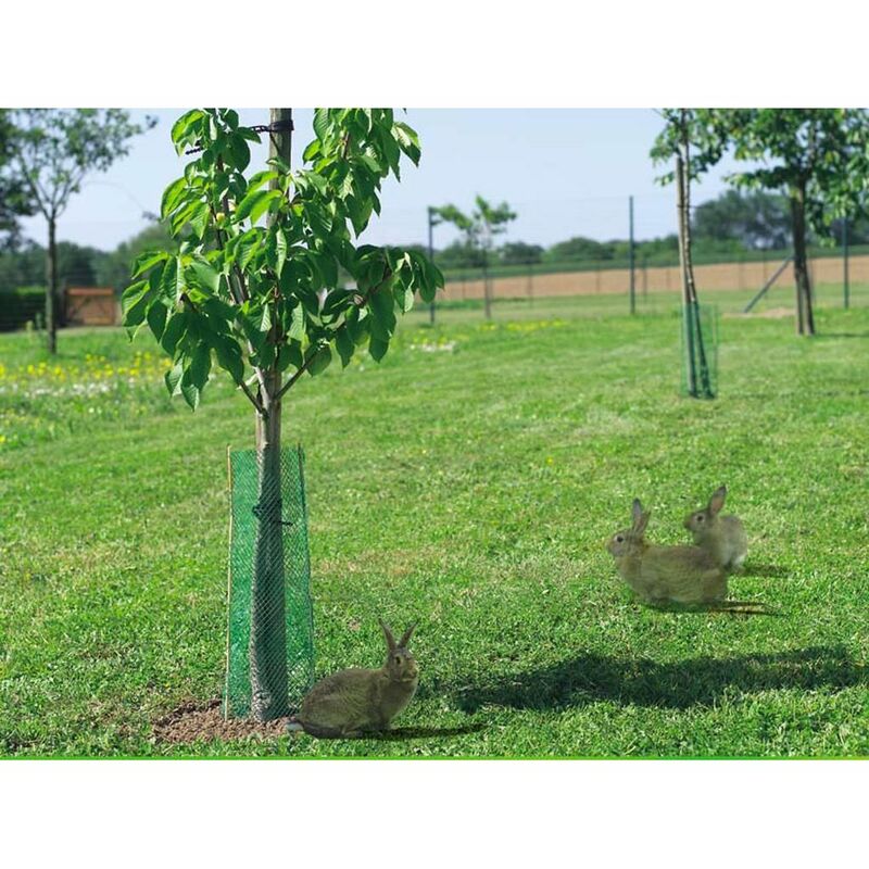 

Protectores de árbol antiroedores