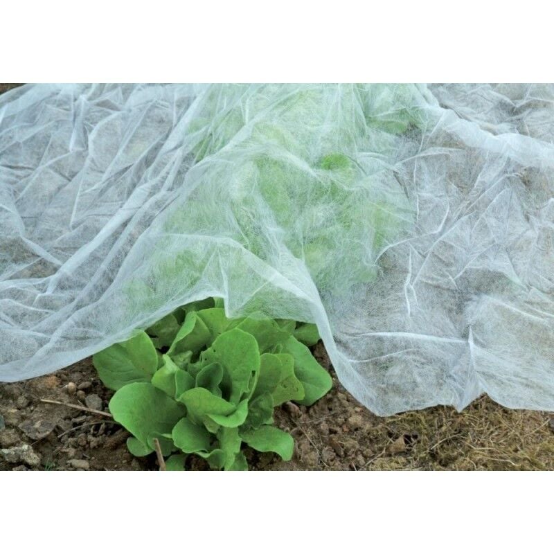 Protège ant gel légumes 10x1,5m, 17g/qm Circumpro
