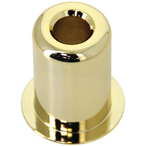 Protège pompe doré+30 FICHET 70501540