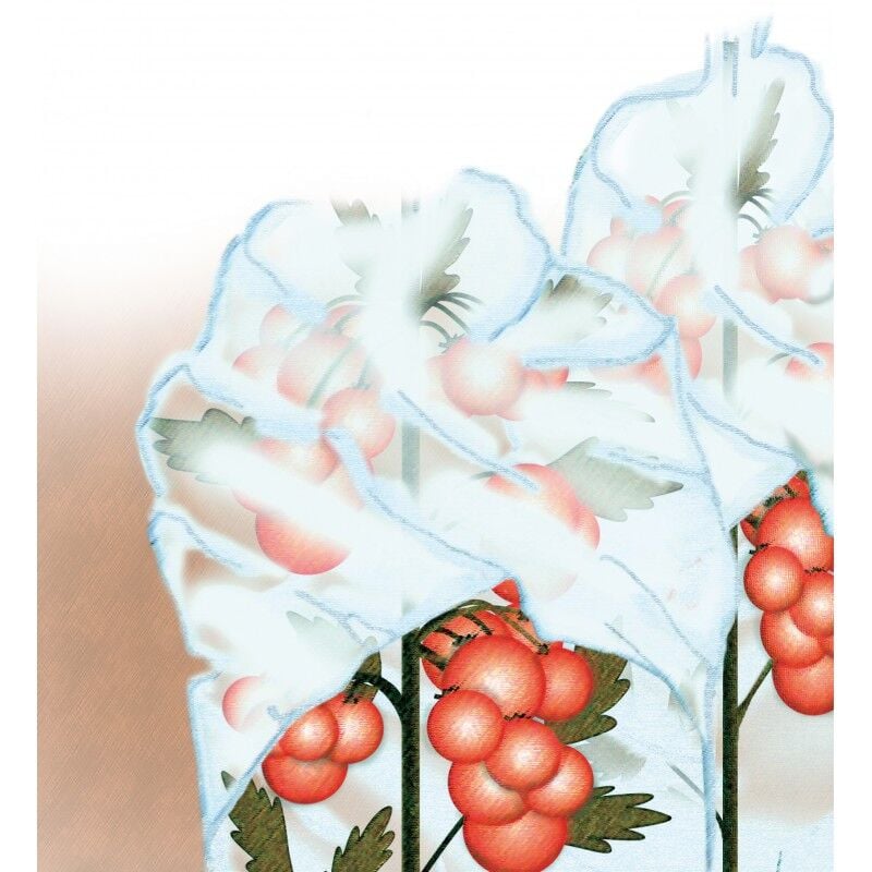 Protège tomate 0,8x10m 17g/m2, blanc, sb